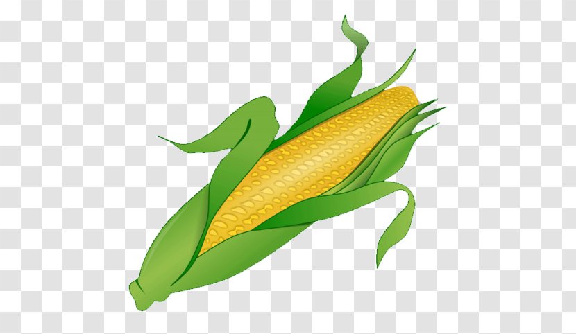 Corn On The Cob Clip Art Vector Graphics Free Content - Candycorn Cartoon Transparent PNG