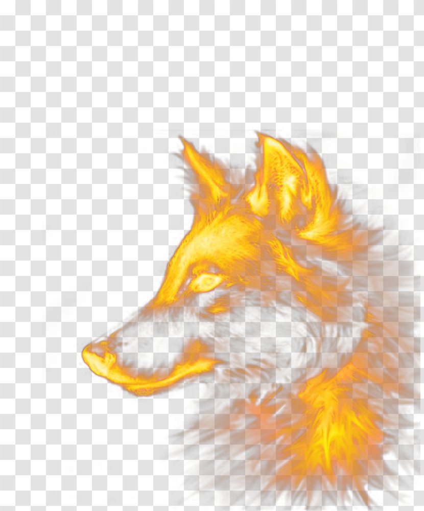 Dog Red Fox - Android - Special Effects Wolf Transparent PNG