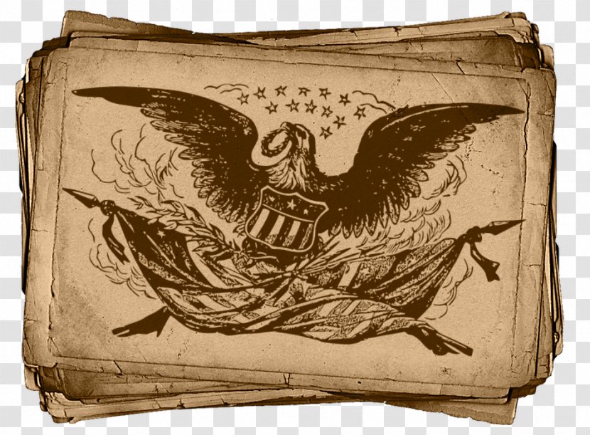 Bald Eagle Paper - Bird Transparent PNG