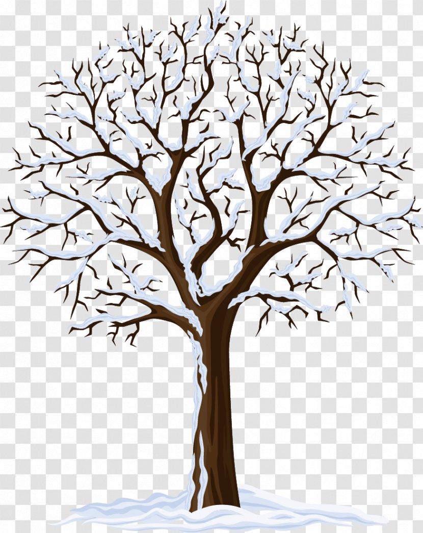 Four Seasons Hotels And Resorts Autumn Clip Art - Branch - Apple Tree Transparent PNG
