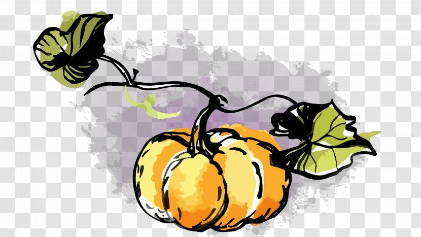 Pumpkin - Leaf - Vegetable Herbaceous Plant Transparent PNG