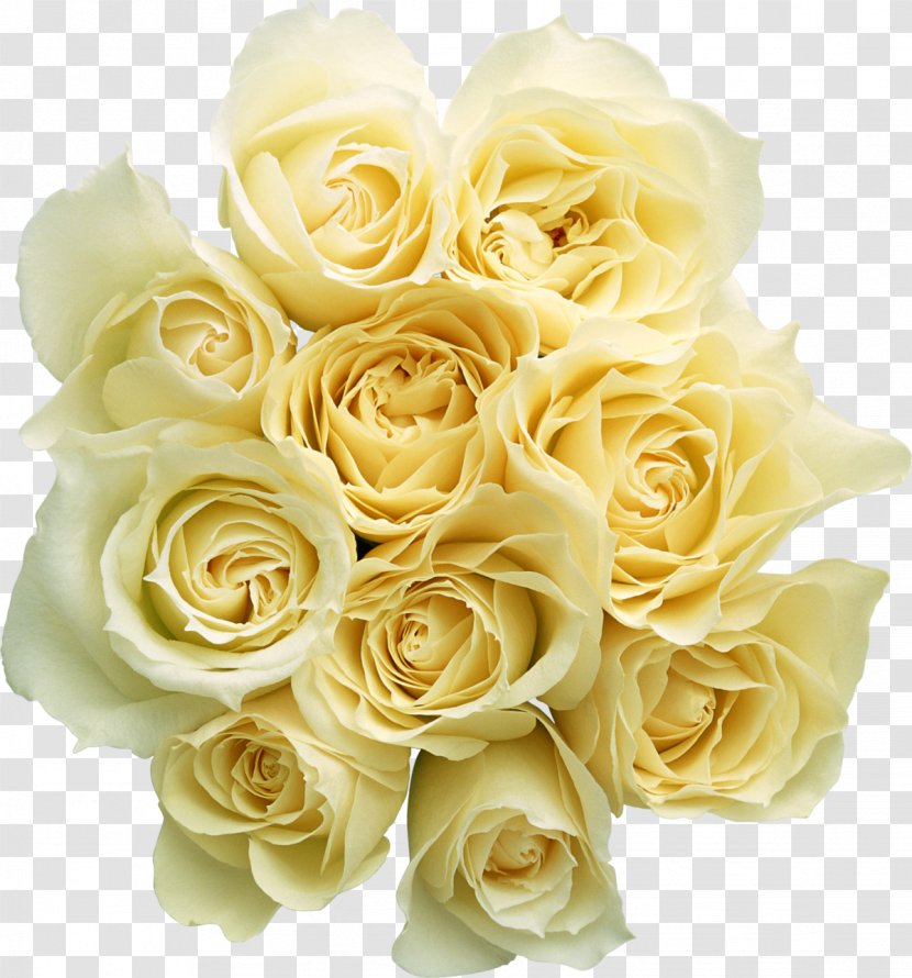 Flower Bouquet Rose - Photography - White Transparent PNG