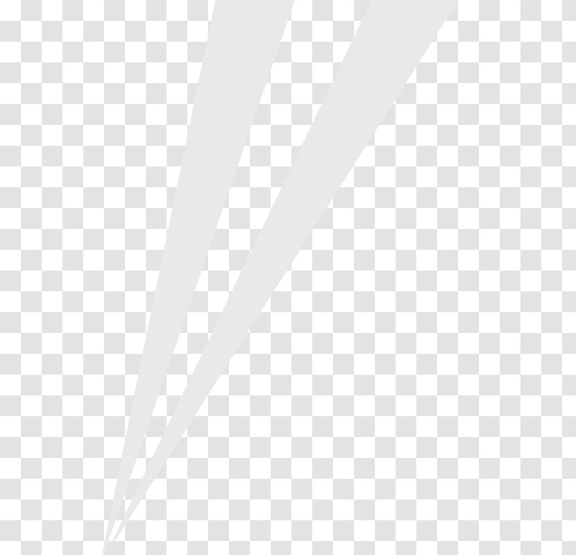 Line Angle Font - White - Fox Business News Logo Transparent PNG
