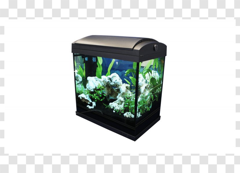 Aquariums Nano Aquarium Dennerle Fish Transparent PNG