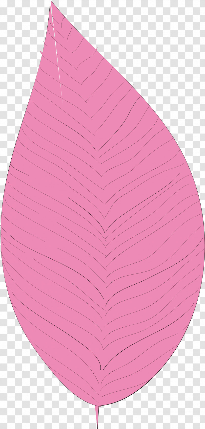 Simple Leaf Simple Leaf Drawing Simple Leaf Outline Transparent PNG