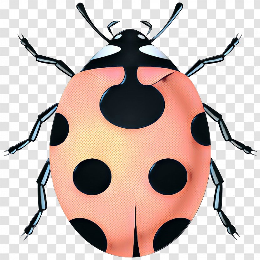 Ladybird Beetle Clip Art Vector Graphics - Firefly - Drawing Transparent PNG