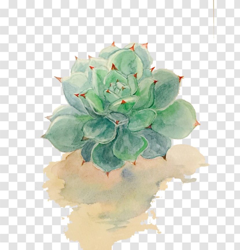 Succulent Plant Watercolor Painting Drawing - Paint - Plants Transparent PNG