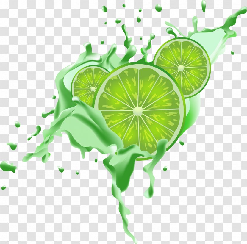 Lemon Juice Lemon-lime Drink Dessert Bar - Fresh Green Transparent PNG
