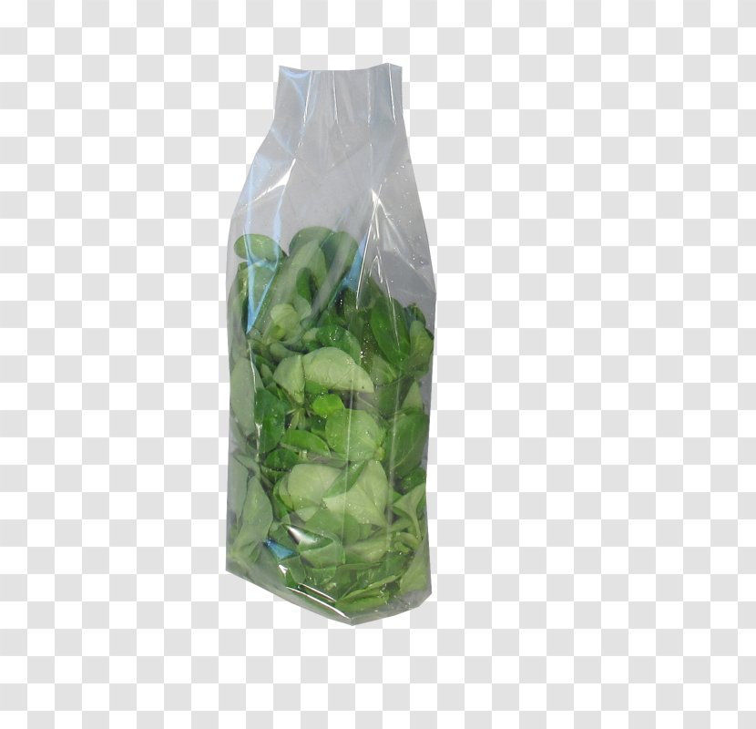Herb Vegetable Vacuum Packing Liquid - Packaging And Labeling Transparent PNG