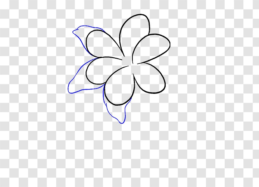 Drawing Line Art Pencil Clip - Symmetry - Lily Transparent PNG