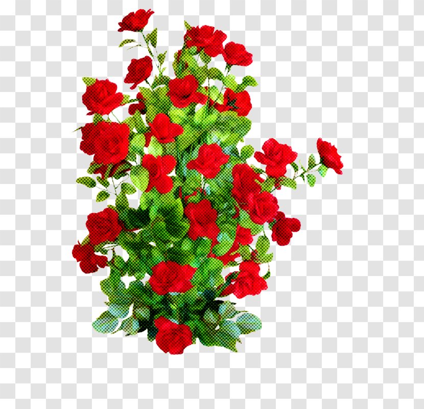 Garden Roses - Rose Family Bouquet Transparent PNG
