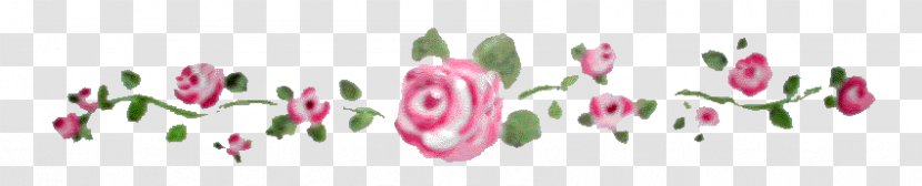 Tulip Rose Vine Flower Floral Design Transparent PNG