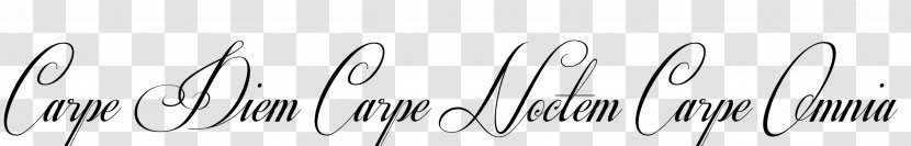 Line Angle Font - Eyelash - Carpe Diem Transparent PNG