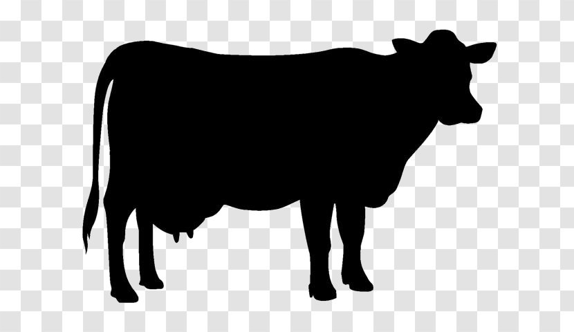 Jersey Cattle Holstein Friesian Beef Silhouette Clip Art Transparent PNG