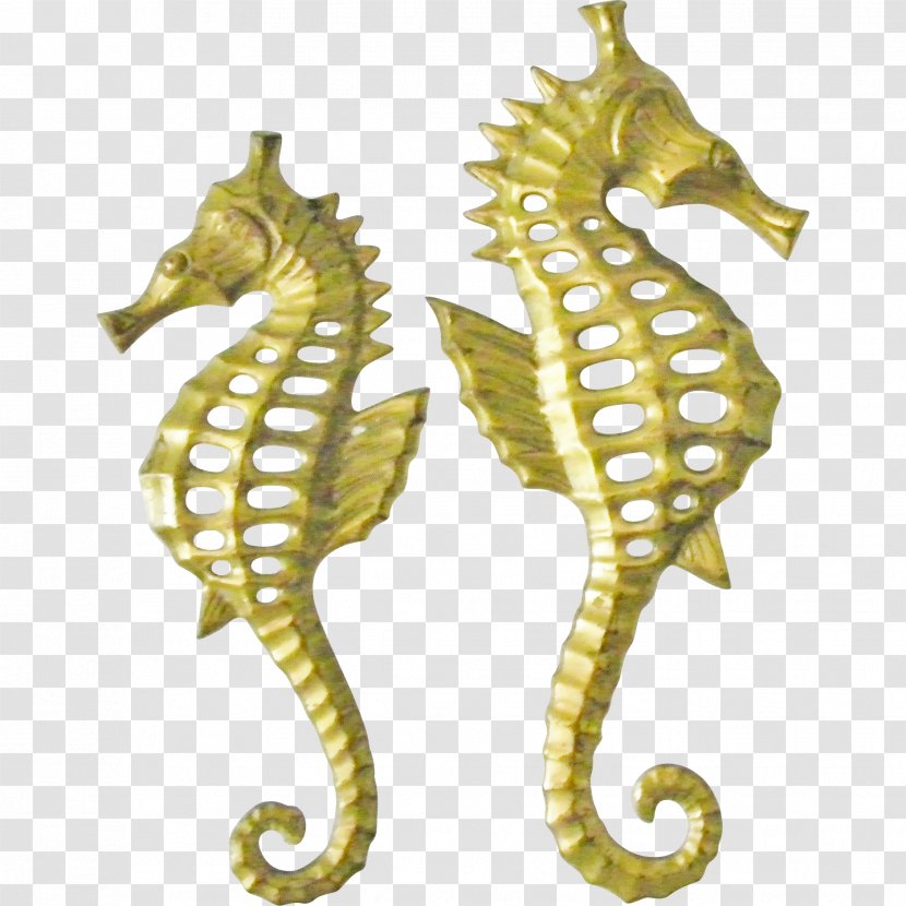 Lined Seahorse Syngnathiformes Hippocampus Bleekeri Fish Commemorative Plaque Transparent PNG