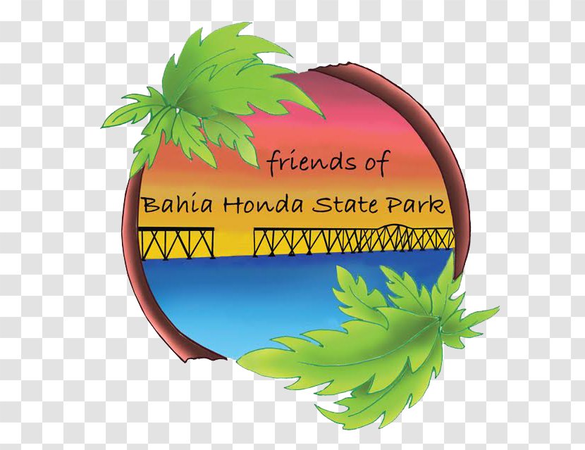 Bahia Honda State Park Big Pine Key - Plant Transparent PNG
