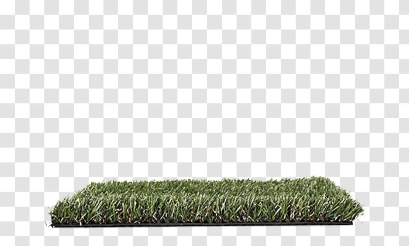 Artificial Turf Lawn Floor Oryzon Genomics Fireproofing - Architectural Engineering - Storey Transparent PNG