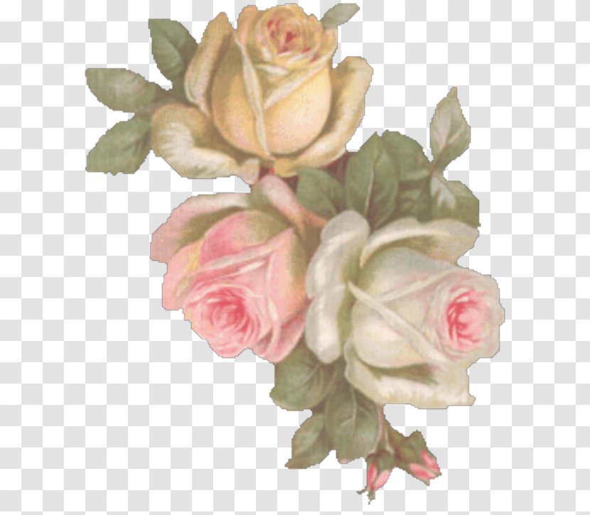 Photobucket Animation Clip Art - Rose Order - Mk Stalin Transparent PNG