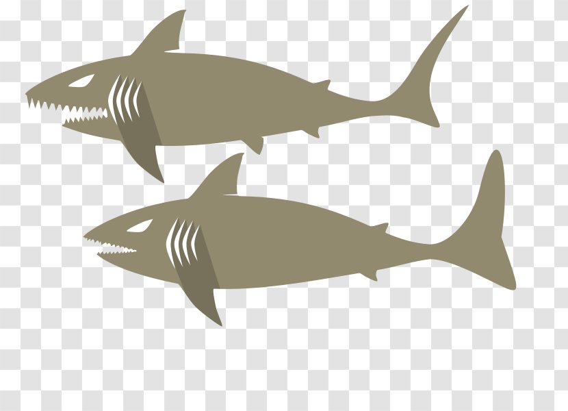 Tiger Shark Squaliform Sharks Requiem Oceanic Whitetip Cartilaginous Fishes - Organism - Fish Transparent PNG