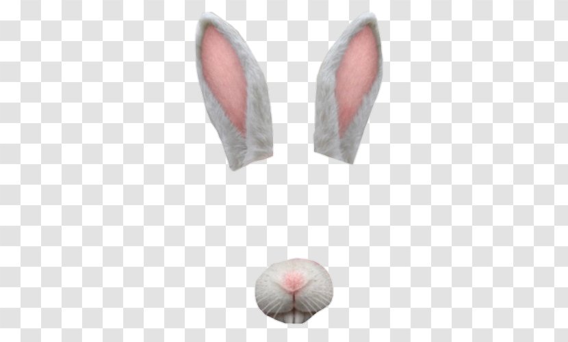 Ear Rabbit Transparent PNG