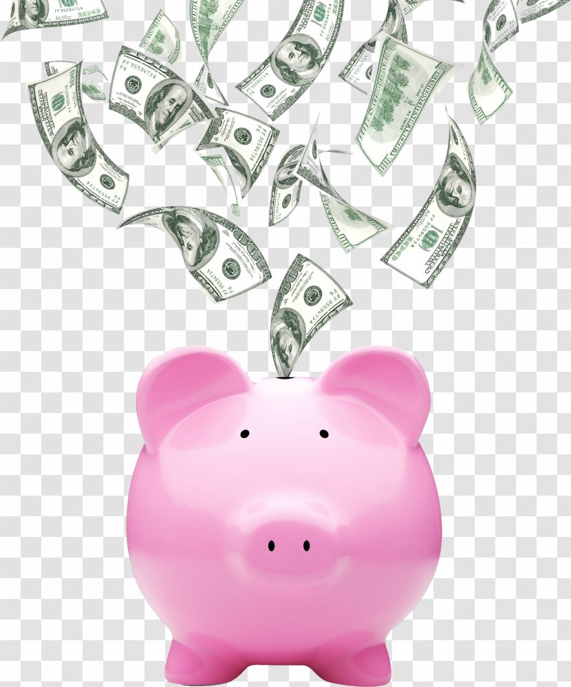 Center For Siouxland Tax Preparation In The United States IRS Volunteer Income Assistance Program - Money - Piggy Bank Transparent PNG