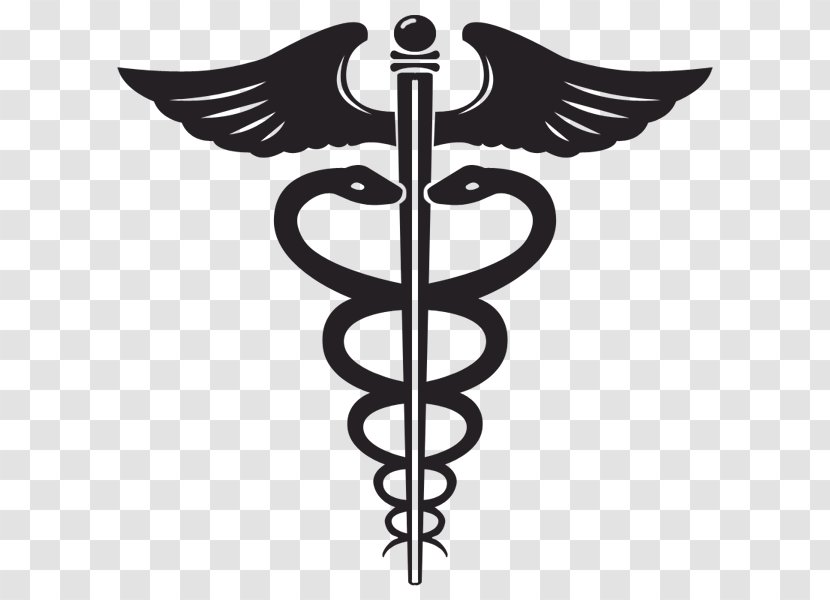 Staff Of Hermes Snake Medicine Symbol - Meaning - Creativity Transparent PNG
