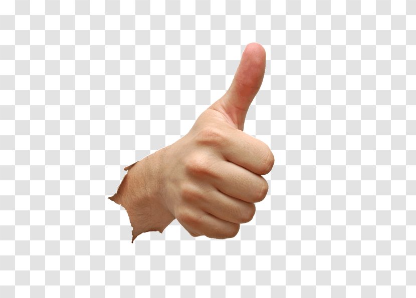 Thumb Hand Model - Thumbs Signal - Up Down Transparent PNG