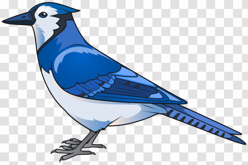 Eastern Bluebird Clip Art - Toronto Blue Jays - Bird Transparent Image Transparent PNG