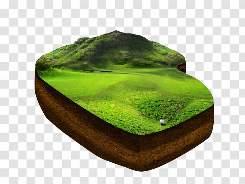 Golf Course Lawn Download - Google Images Transparent PNG