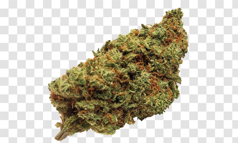 Cannabis Sativa Kush Cannabidiol Medical - Strain - Marijuana Transparent PNG