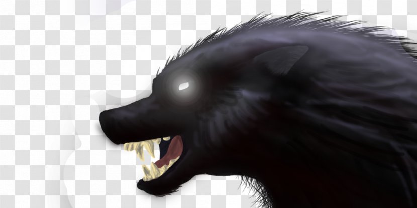 Black Wolf Snout Dog Fur DeviantArt - Canidae Transparent PNG