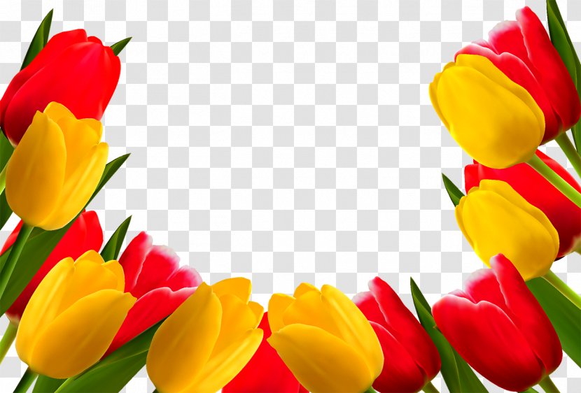 Indira Gandhi Memorial Tulip Garden Flower Stock Photography - Floristry Transparent PNG