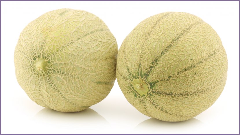 Cantaloupe Melon Stock Photography Royalty-free - Plant - Peter Rabbit Transparent PNG
