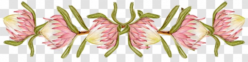 Floral Design Flower - Petal - Decoration Transparent PNG
