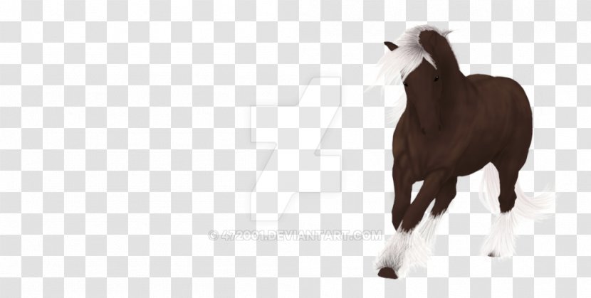 Mustang Foal Stallion Colt Mare - Livestock - Gypsy Horse Transparent PNG