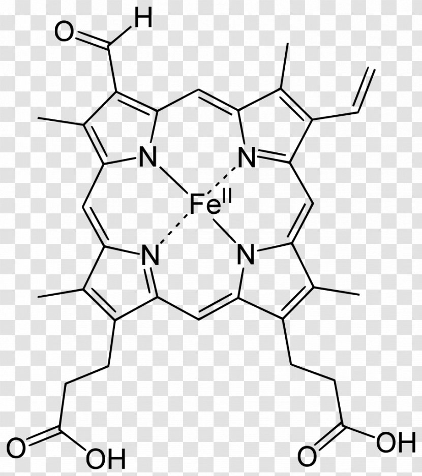 Hemeprotein Porphyrin Chlorocruorin Hemoglobin - Line Art - Blood Transparent PNG