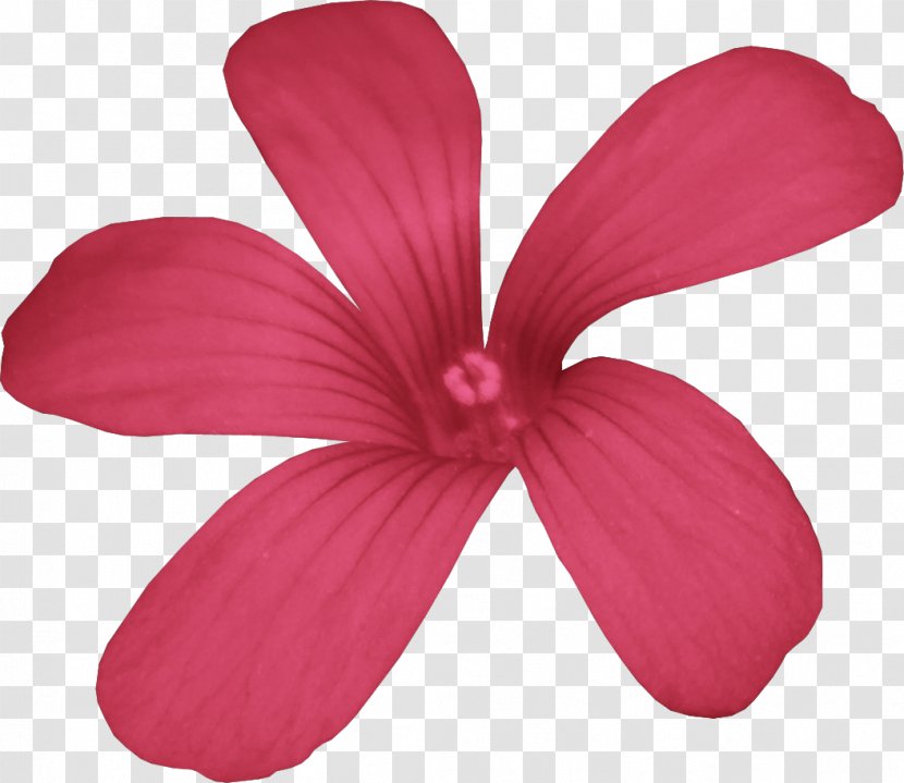 Rosemallows Pink M Petal - Mallow Family - Dn Transparent PNG