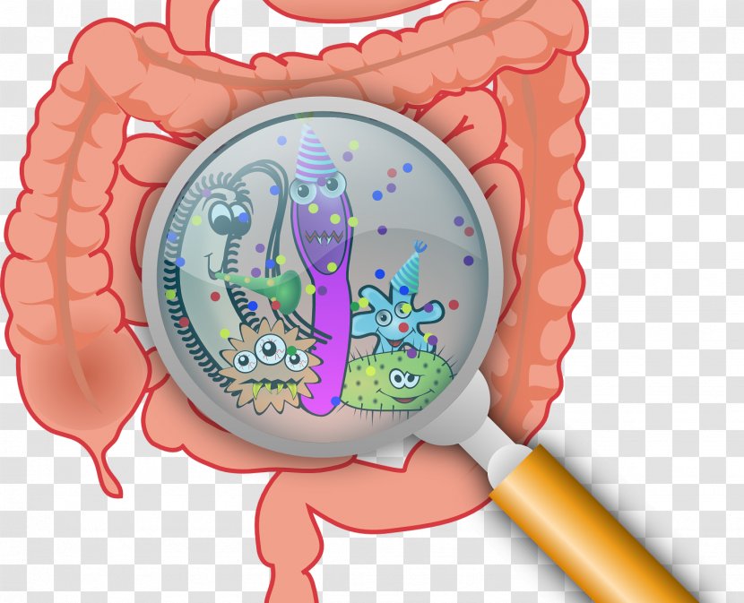 Gut Flora Gastrointestinal Tract Health Microbiota Leaky Syndrome - Cartoon - Detail Map Of Bacteria And Viruses Transparent PNG