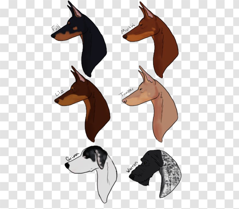 Italian Greyhound Horse Clip Art - Head Transparent PNG