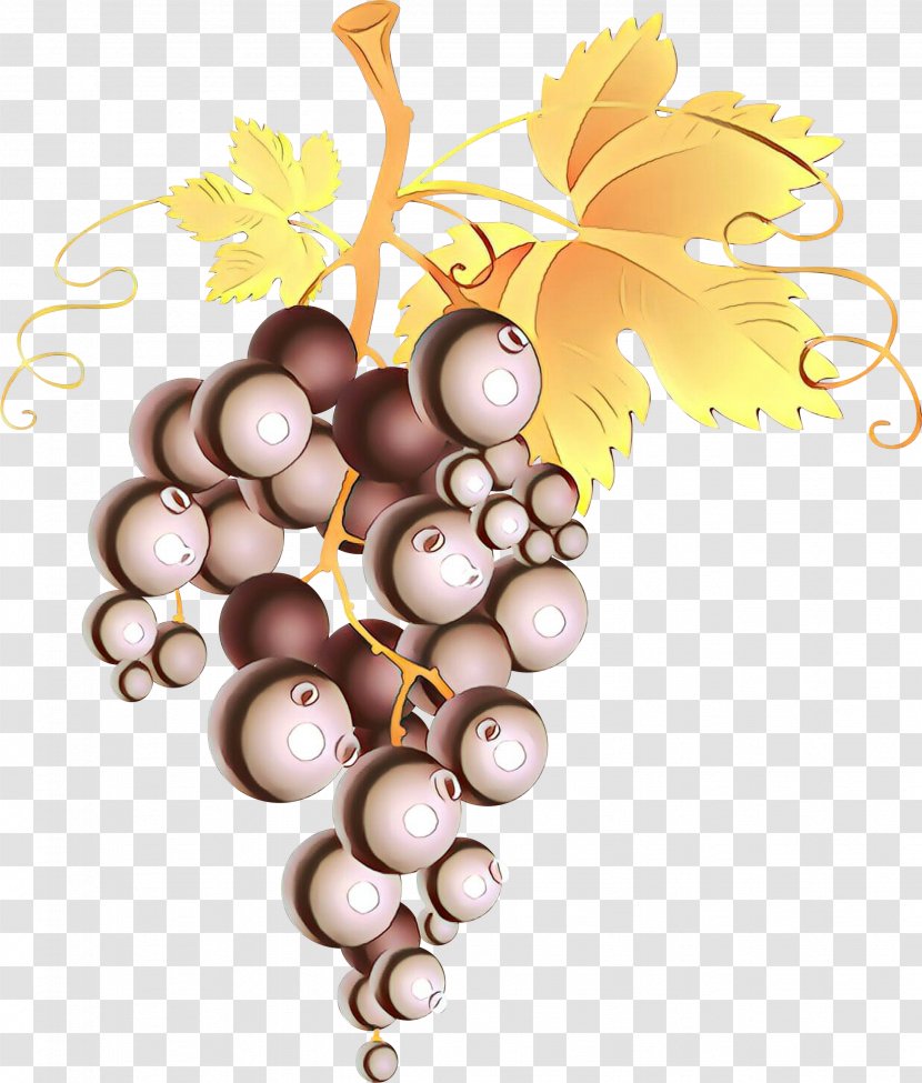 Drawing Of Family - Fruit - Plant Transparent PNG