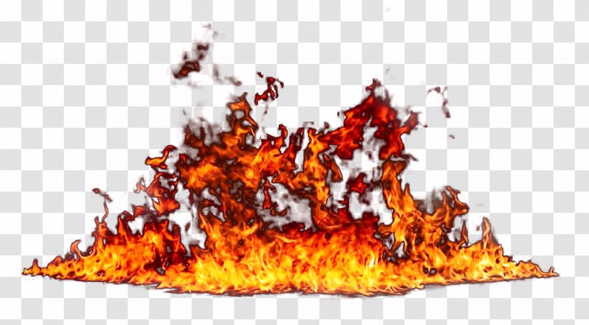Fire Editing - Flower Transparent PNG