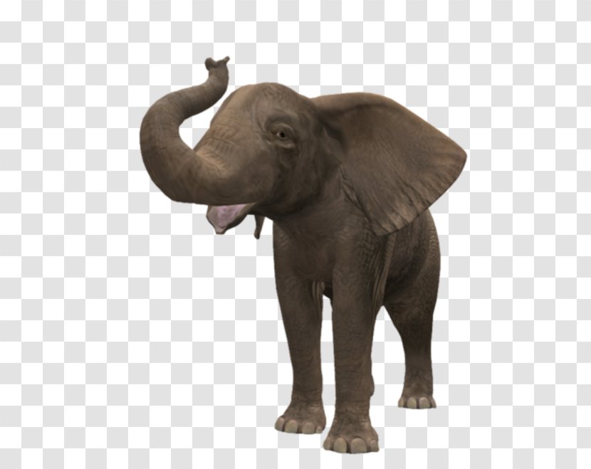 African Bush Elephant Deinotheriidae Transparent PNG
