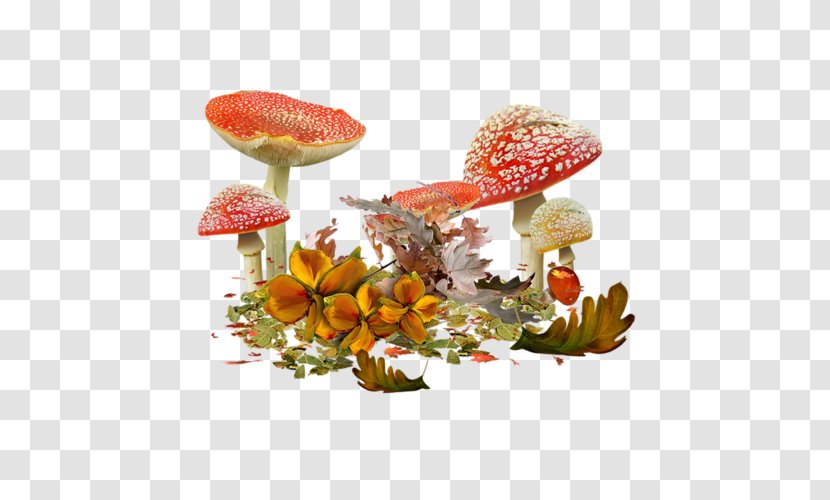 Common Mushroom Shiitake Edible Drawing - Stuffed Mushrooms Transparent PNG
