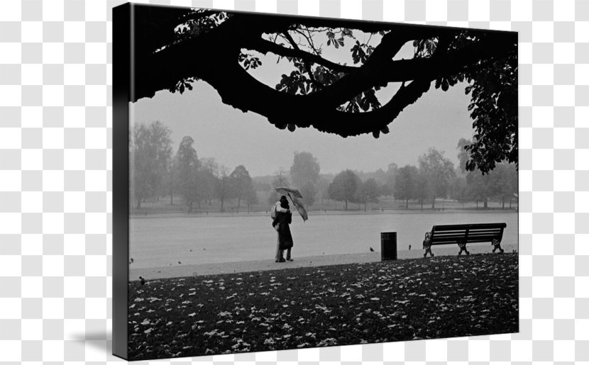 Hyde Park Imagekind Photography Aldo - Snapshot - Rain Couple Transparent PNG