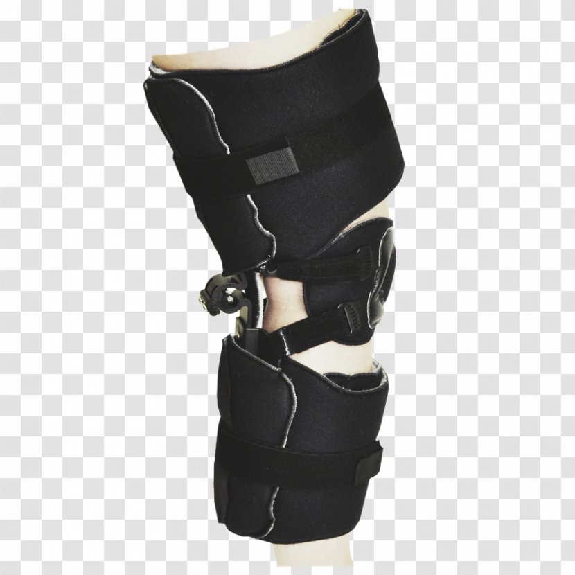 Knee Orthotics Joint Calf Hip - Silhouette - Tree Transparent PNG