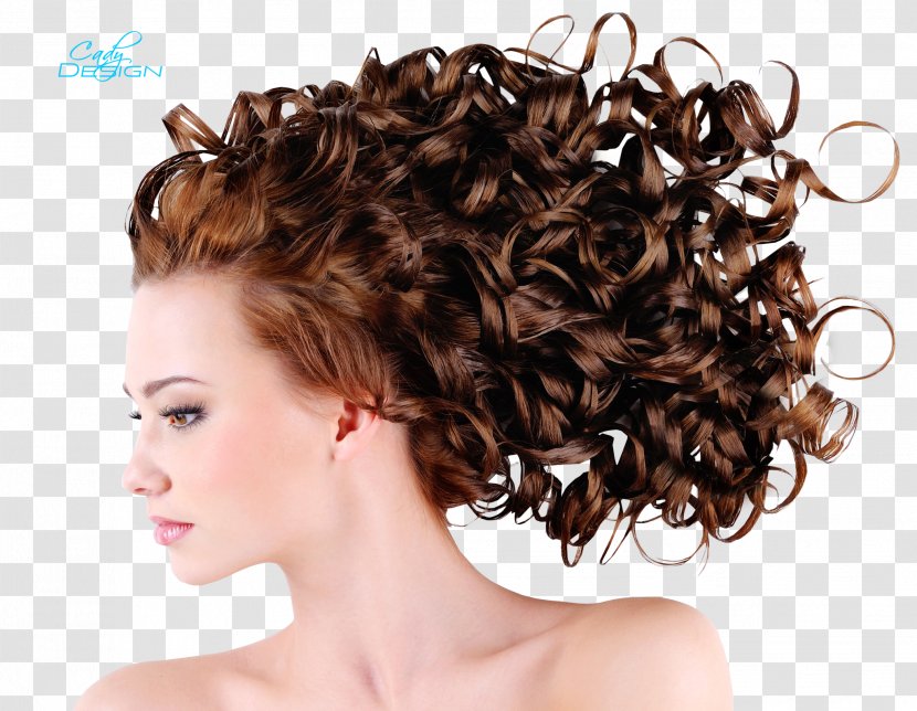 Hair Iron Hairstyle Updo Fashion Transparent PNG