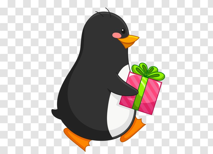 Penguin Bird Desktop Wallpaper Clip Art - Christmas Gift Transparent PNG