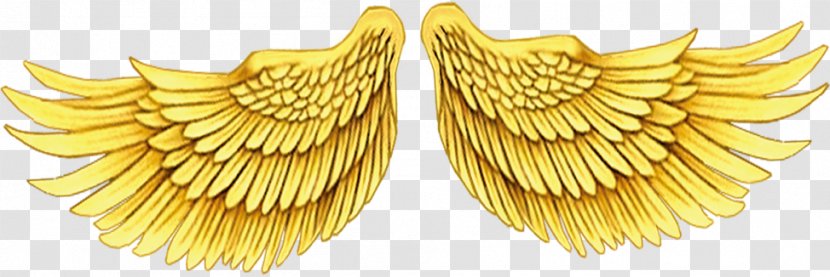 Wing Gold - Jewellery - Golden Wings Posters Transparent PNG
