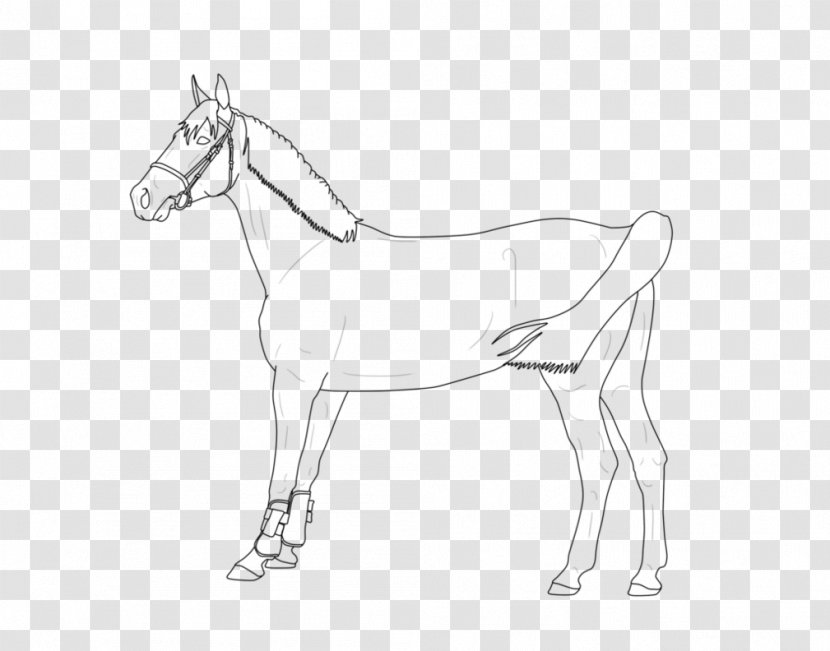 Mule Bridle Halter Rein Colt - Horse Like Mammal - Scenery Line Drawing Transparent PNG