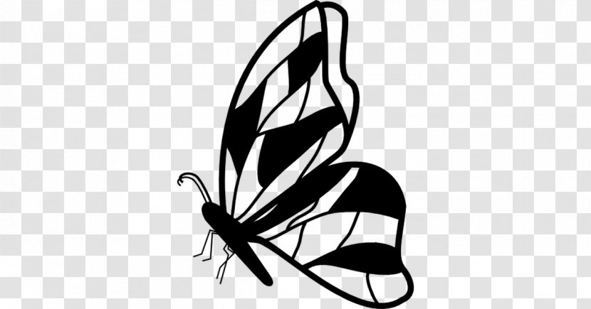 Butterfly Drawing Clip Art - Icon Design Transparent PNG